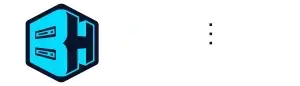 BisectHosting